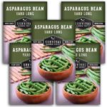 Cultivo de Frijoles Yardlong: Guía para Plantar Habichuelas Asparagus