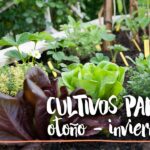 Cultivos Resistentes al Invierno para Sembrar en Noviembre: 13 Opciones