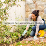 ¿Dejarlo o limpiarlo? Guía para preparar el jardín otoñal