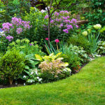 Desentrañamos términos comunes de jardinería: Anual Perenne y más