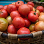 Desmiente 9 mitos sobre el cultivo de tomates