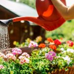 El momento ideal para regar tu jardín correctamente