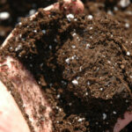 ¿Es necesario esterilizar el compost antes de usarlo?