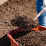 Estiércol Vacuno: Transforma el Sustrato en Fertilizante Ecológico