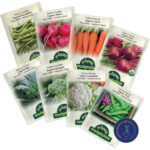 Éxito Seguro: 15 Semillas Fáciles para Cultivar en Invierno