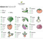 Fechas óptimas para sembrar en la Zona 2