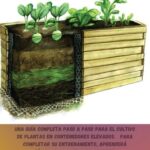 Guía Completa para Cultivar Coliflor en Camas Elevadas
