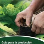 Guía Completa para Cultivar y Cuidar Arbustos de Naranjilla