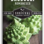 Guía Completa para Cultivar y Cuidar Brócoli Romanesco