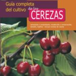 Guía Completa para Cultivar y Cuidar Cerezos Frutales