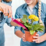 Guía Completa para Cultivar y Cuidar el Cactus de Acción de Gracias