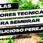 Guía Completa para Cultivar y Cuidar el Perejil