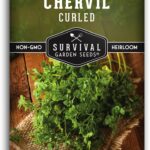Guía Completa para Cultivar y Cuidar el Perifollo