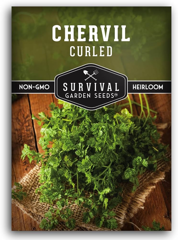 Guía Completa para Cultivar y Cuidar el Perifollo