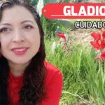 Guía completa para cultivar y cuidar los gladiolos