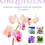 Guía Completa para Cultivar y Cuidar Orquídeas Phalaenopsis