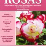 Guía esencial para cultivar rosas en tu jardín
