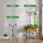 Guía esencial para luces de cultivo para principiantes