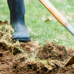 Guía inicial para enriquecer tu jardín con enmiendas de suelo