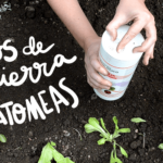 Guía para aplicar tierra de diatomeas en jardín y hogar