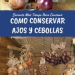 Guía para cosechar conservar y almacenar cebollas y ajos resistentes