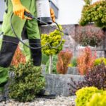 Guía para crear un jardín biocontrolado que controle plagas