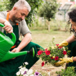 Guía para Crear un Jardín Regenerativo Sostenible