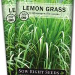 Guía para Cultivar Hierba de Limón desde Semilla