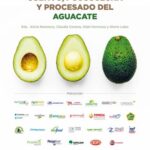 Guía para cultivar y cuidar aguacates ‘Bacon’ exitosamente