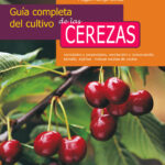 Guía para cultivar y cuidar cerezos ‘Black Tartarian