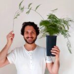 Guía para cultivar y cuidar helechos espárrago