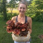 Guía para cultivar y cuidar hongos reishi en casa