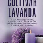 Guía para cultivar y cuidar la lavanda con éxito