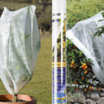 Guía para cultivar y cuidar las flores manta eficazmente