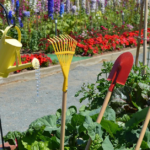 Guía para Cultivar y Cuidar las Plantas Pala