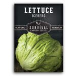 Guía para cultivar y cuidar lechuga iceberg en tu jardín