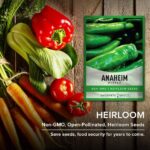 Guía para cultivar y cuidar pimientos Anaheim