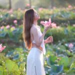 Guía para cultivar y cuidar raíces de loto