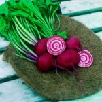 Guía para Cultivar y Cuidar Remolachas ‘Chioggia