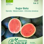 Guía para cultivar y cuidar sandías ‘Sugar Baby’ exitosamente