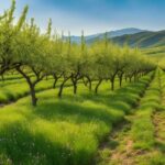 Guía para Cultivar y Cuidar un Albaricoquero Exitosamente