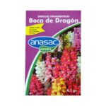 Guía para Estratificar Semillas de Boca de Dragón en Frío