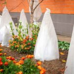 Guía para proteger tu jardín de las heladas tempranas