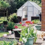 Guía para un jardín seguro: plantas peligrosas y seguras para mascotas