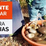 Instrucciones para Fabricar una Estación de Agua para Abejas