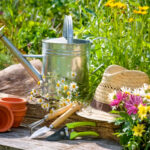 Jardinería Adaptativa: 25 Consejos y Herramientas para Seguir Activo Siempre