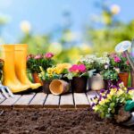 Jardinería Interior para Principiantes: Fundamentos Esenciales que Deberías Conocer