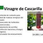 La eficacia del vinagre en el control de malezas