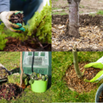 La Técnica Chop-and-Drop en la Jardinería: Un Enfoque Innovador
