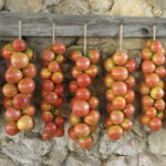 Las 10 Mejores Variedades de Tomates para Cultivar Colgantes
